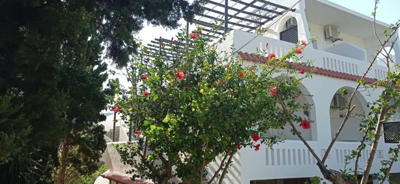 Afroditi Hotel Plakias Exterior photo